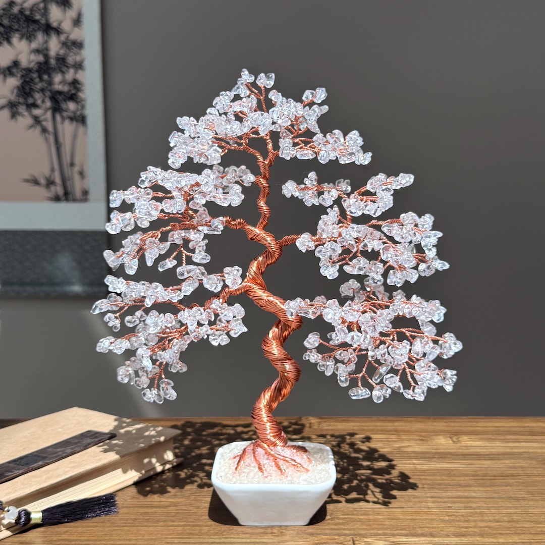closest money tree Money Tree for Sale main image 1