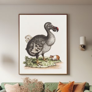 Antiguo Dodo Bird Wall Art Dodo Print Guinea Pig y Dodo Poster