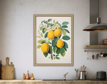 Lemon Plant Wall Art, Lemons Wall Art, Retro Lemons Poster