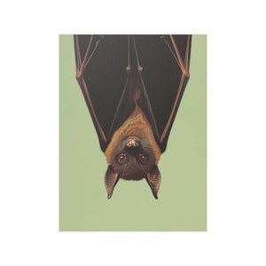 Bat Wall Art Hanging Bat Upside Down Poster Bat Print - Etsy