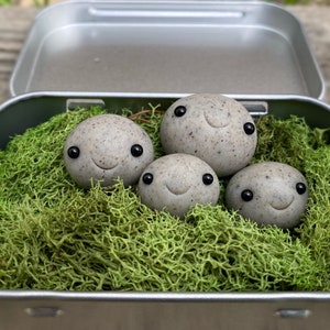 Adoptieren Sie Ihre eigene Kawaii ROCK FAMILY! Eltern + Babys, emotionale Unterstützung Schreibtisch Haustier, Begleiter Begleiter, Fern Geschenke