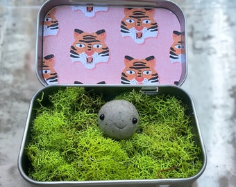 Adopt an Adorable Rock Pal w/ Cute Tiger Background & Tin Terrarium Moss Home, Windowsill/Nightstand Pal, Desk Pet, Carry Around Companion