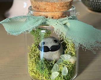 Mustache Rock Pal w/ Mini Crystal Terrarium, Good Luck Charm Desk Pet, Bookshelf Decor, Worry Stone, Funny Keepsake Gift for Friend