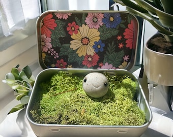 Mossy Floral Accueil ROCK PAL! Animal de compagnie de bureau mignon, ami de table de chevet, décor d'étagère de plante, mini terrarium, cadeaux uniques de panier de Pâques
