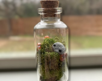 Adopt a TINY PEBBLE PAL w/ Crystal Moss Cork Jar Home! Handmade Tiny Trinket, Extra Small Desk Pet, Cute Mini Gift for a Friend