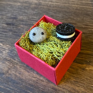 May include: A small red box with a green moss bed inside. A small gray rock with two black dots for eyes sits on the moss. A black and white cookie sits on the moss next to the rock.