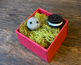 Tiny Snackin' Pebble Pal w/ Random Snack :) Cute, Small Gift for Yourself or a Snackie Friend
