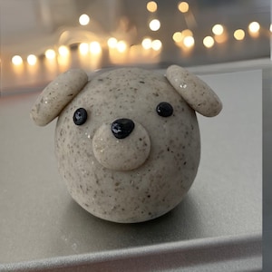 Adoptuj oryginalnego PUPPY Rock Pal! Pocket Pet, Emotional Support Desk Pet, No Shed Pet, Pocket Hug in a Box, Mini Novelty Gag Gift
