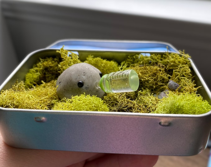 BABY ROCK! Magnetic w/ Adoption Certificate! Adopt an Adorable Desk Pet, Emotional Support Buddy, Pretend Pet, Carry Around Companion