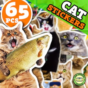 65 Stück Meme Katzen Aufkleber, Lustige Vinyl Wasserdichte Katzen Aufkleber, Katzen Meme DIY Dekoration für Wasserflasche, Laptop, Skateboard, Macbook, Auto, Spielzeug