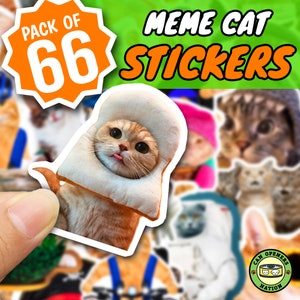 66 pièces autocollants de chat mignon, autocollants drôles imperméables en vinyle de mème de chats, décoration de chaton pour bouteille d'eau, ordinateur portable, skateboard, ordinateur portable, bagages