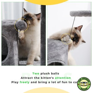 May include: A gray cat tree with two plush balls hanging from strings. The cat is playing with the balls. The cat tree has a platform and a scratching post. The text "CAN OPENERS NATION" is on a red and white sticker.