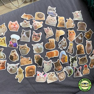 50PCS Cute Cat Stickers, Cat Meme Vinyl Waterproof Funny Decals, Cats ...