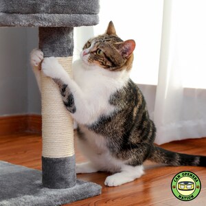 May include: A tabby cat with white markings is scratching a sisal-wrapped scratching post on a gray cat tree. The cat is looking to the right of the image. The cat tree is on a wooden floor.