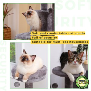 May include: A gray cat tree with multiple levels, including a condo, a perch, and a scratching post. Two cats are sitting on the tree, one white and one tabby. The text "Soft and comfortable cat condo, Full of security, Suitable for multi-cat households" is visible on the image.