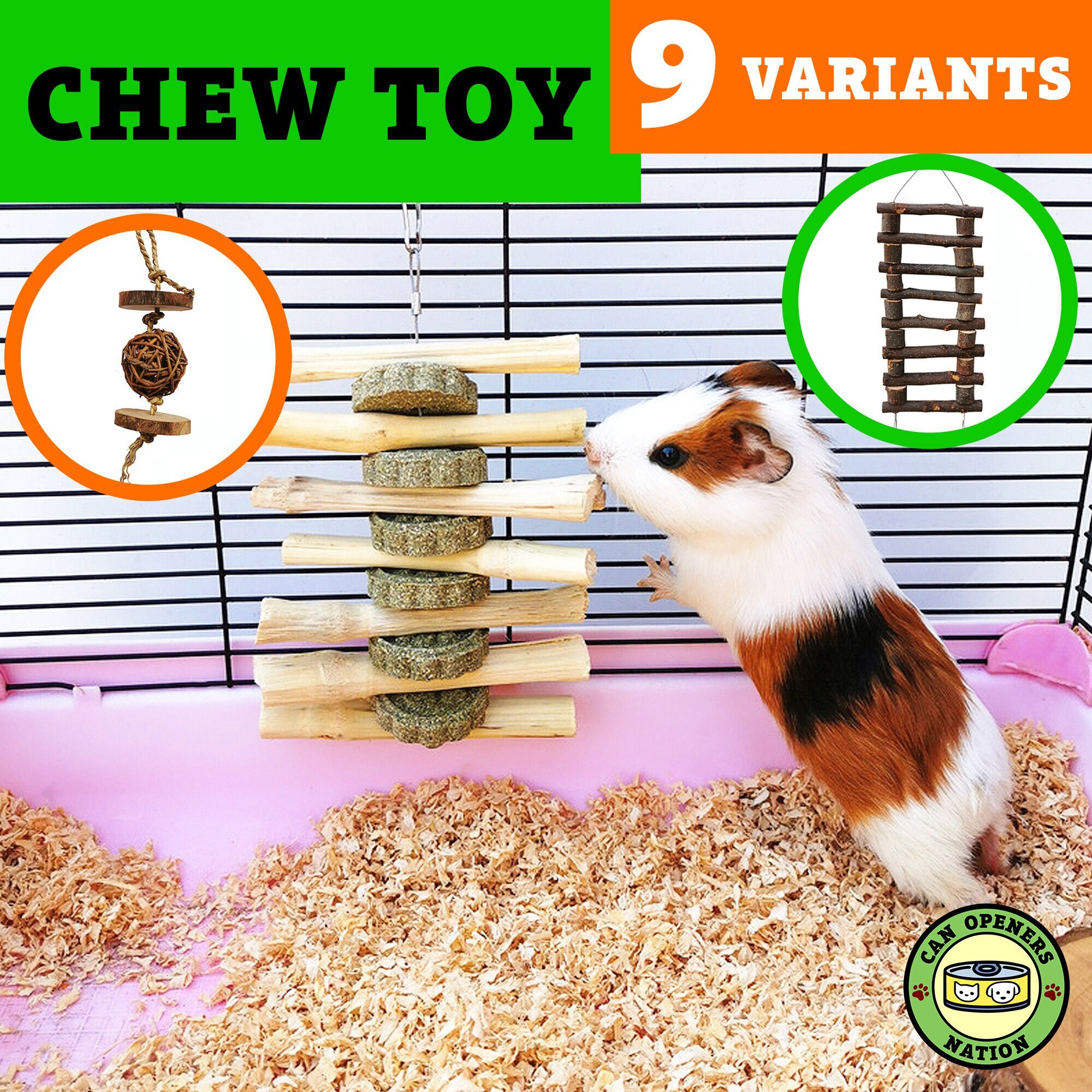 What Can A Guinea Pig Chew On