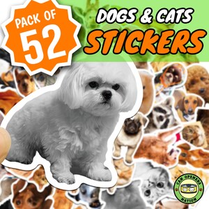 52 PCS lustige Hunde und Katzen Aufkleber, Welpe niedliche Vinyl wasserdichte Abziehbilder, Kitty / Bunny / Haustiere Wasserflasche, Laptop, Skateboard, Telefon Dekoration