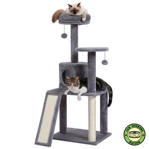 May include: A gray cat tree with a scratching post, a platform, a condo, and a ramp. Two cats are sitting on the cat tree. One cat is white and gray, and the other cat is brown and white.