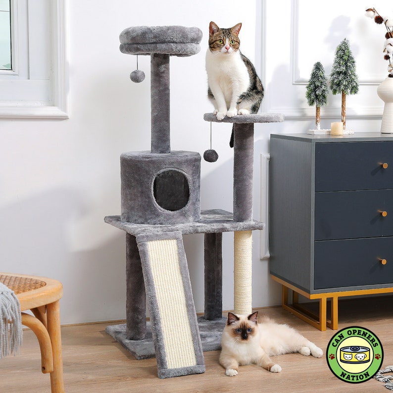 May include: A gray cat tree with a scratching post, a platform, and a ramp. Two cats are sitting on the cat tree. One cat is white with brown tabby markings and the other cat is white with blue eyes.