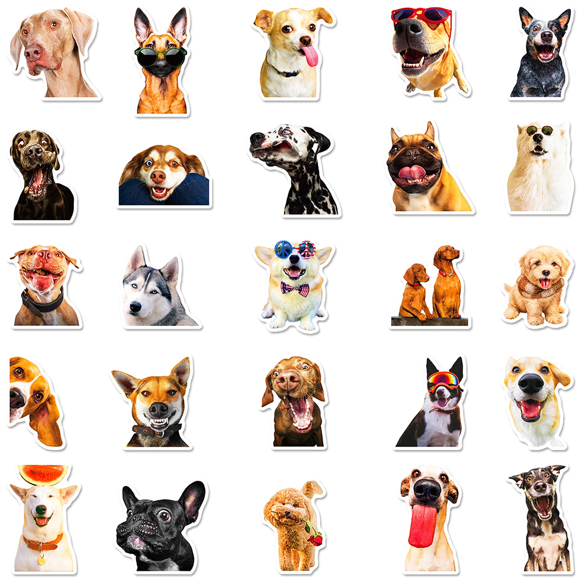 50 PCS Funny MEME DOGS Stickers, Puppy Cute Vinyl Waterproof Decals ...