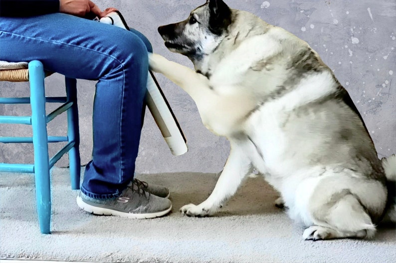 Knobby Dog Scratch Board Chute Curved Dog Nail File Board Etsy