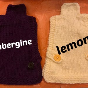 Hecho a pedido - a medida - CUELLO ALTO Jersey de pollo tejido a mano (cuello polo) - suéter de pollo - ropa para mascotas - jersey - ropa para mascotas - regalo