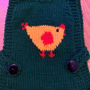 Jersey de punto a mano con diseño de pollo - COLORES PERSONALIZADOS - tejido por encargo - suéter de pollo - ropa para mascotas - jersey - regalos de pollo