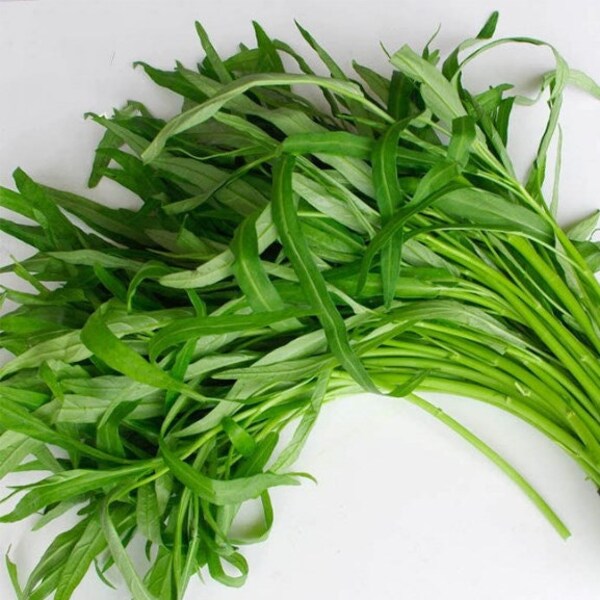 Water Spinach Seed  - Rau Muong - Kangkong Seeds- Kong Xin CAI- Water Morning Glory Seed - Ong Choy Seeds - Vegetable Seeds