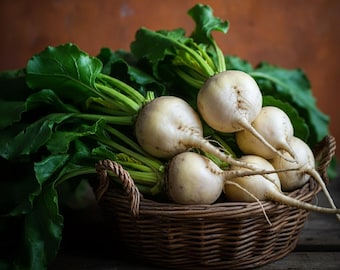 Albino White Beet Seeds, Sweet Mild Flavor, Salad Vegetable