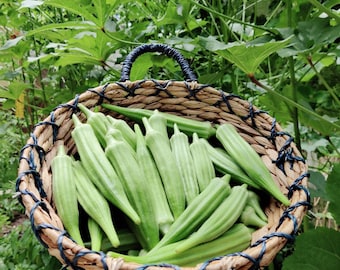 Premium Okra Seeds, easy to grow,  plentiful harvest