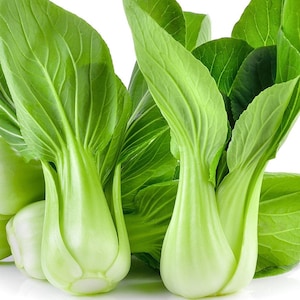Cabbage Pak Choi Gemüsesamen, Cai Thia Samen, Bok Choi, Heirloom Bok Choy Samen, schnell wachsende Grüns, einfach zu züchtendes Blattgemüse
