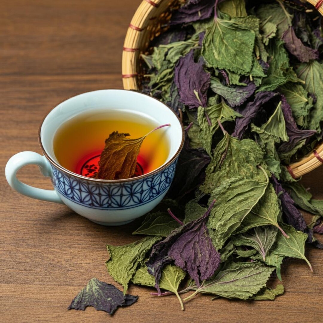 Organic Dried Perilla Leaves Shiso Herb Herbal Tea Etsy Organic Dried Perilla Leaves Shiso Herb Herbal Tea Etsy