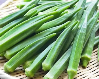 Semillas de okra de vaina larga / okra tradicional sin OMG / Vainas tiernas extralargas, de alto rendimiento, resistentes al calor