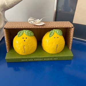 Rae Dunn Lemon Salt and Pepper Shaker Box Set
