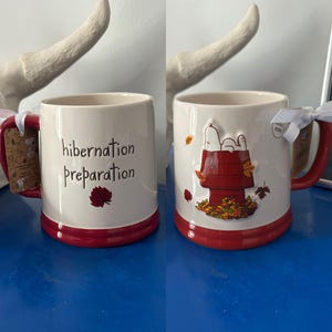 レイ・ダン ピーナッツ チャーリー・ブラウン スヌーピー 冬眠準備 秋 紅葉 両面マグカップ