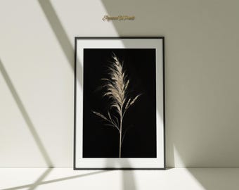 May include: Framed art print featuring a sepia-toned botanical illustration of a tall, feathery plant against a black background. The artwork is in a black frame and leans against a white wall. The text "Elegant Art Circle" is in the upper right corner.