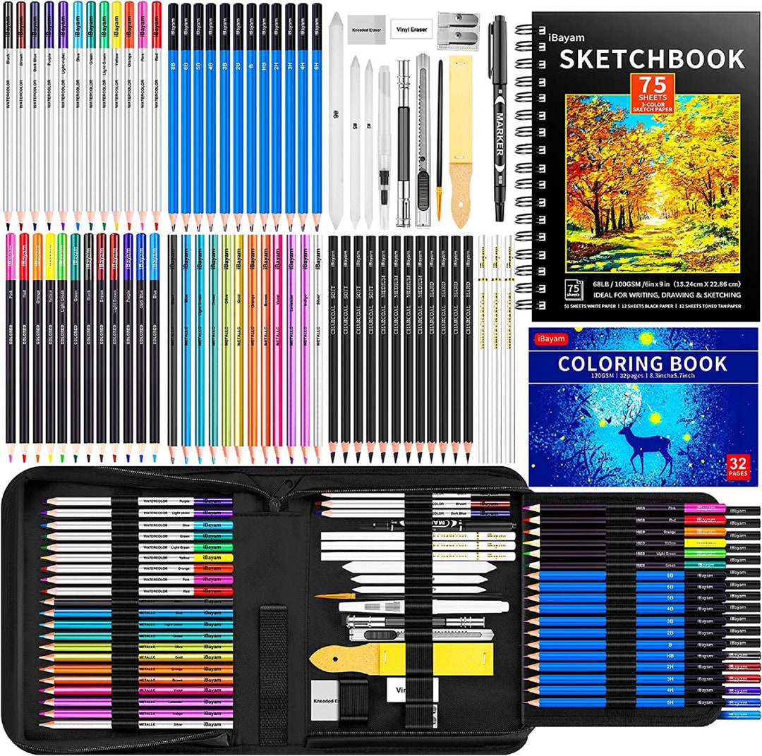 Ibayam 78pack Drawing Set Sketching Kit, Pro Art Supplies With 75