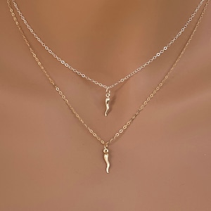 Puede incluir: Dos collares de oro con un pequeño dije de cuerno en cada uno. El collar superior es de plata y el collar inferior es de oro.