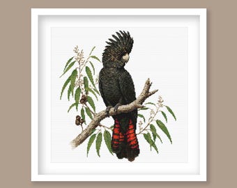 Red-Tailed Black Cockatoo Cross Stitch Pattern, Australian Bird Embroidery Design. (Digital Download)