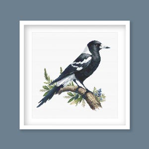 Op de afbeelding: Een zwart-witte ekster die op een tak zit met groene bladeren en blauwe bloemen. De vogel kijkt naar rechts en heeft een lange staart.