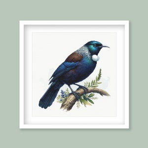 Könnte beinhalten: Ein blauer und brauner Vogel mit einem weißen Federbüschel auf der Brust sitzt auf einem Ast mit grünen Blättern. Der Vogel ist ein neuseeländischer Kōkako, eine Art der Wattelvögel.