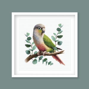 Op de afbeelding: Een ingelijste kruissteek van een groenwangparkiet op een tak, omringd door eucalyptusbladeren. De vogel heeft een grijze kop, groene vleugels en een rode buik. Het kunstwerk staat tegen een witte achtergrond.