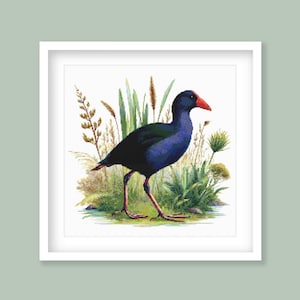 May include: A blue and red bird with a long beak stands in a field of green grass and brown reeds. The bird is facing to the right of the image.