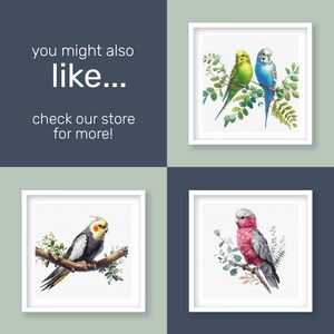 Cross stitch patterns of birds