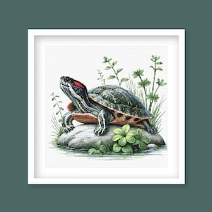 Puede incluir: Una tortuga verde y negra con una mancha roja en la cabeza está sentada en una roca rodeada de plantas verdes. La tortuga está mirando hacia arriba y su caparazón tiene una franja marrón.