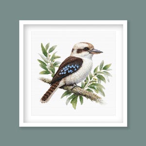 Könnte beinhalten: Gerahmter Druck eines Kookaburra-Vogels, der auf einem Ast mit grünen Blättern sitzt. Der Vogel hat einen weißen Kopf, einen braunen Rücken und blaue Flecken auf den Flügeln. Das Kunstwerk ist vor einem weißen Hintergrund.