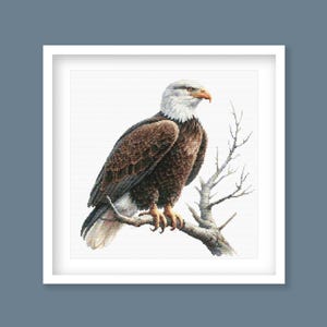 Weißkopfseeadler Kreuzstichmuster - Majestätischer Raubvogel Zählvorlage zum Sticken, PDF Instant Download