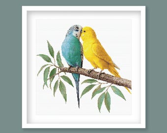 Blue & Yellow Budgie Cross Stitch Pattern – Love Birds Bird Embroidery Design (Digital Download)