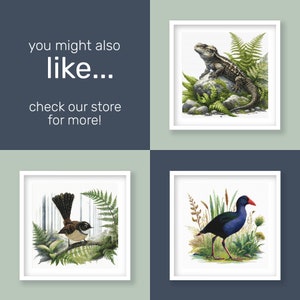 Cross stitch set of New Zealand Native birds