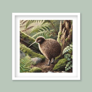 May include: A brown kiwi bird with a long beak stands on a mossy forest floor. The bird is surrounded by green ferns and a large tree trunk.
